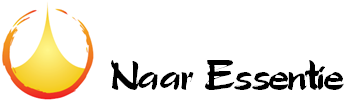 Naar-Essentie.nl